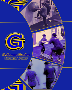 Treino