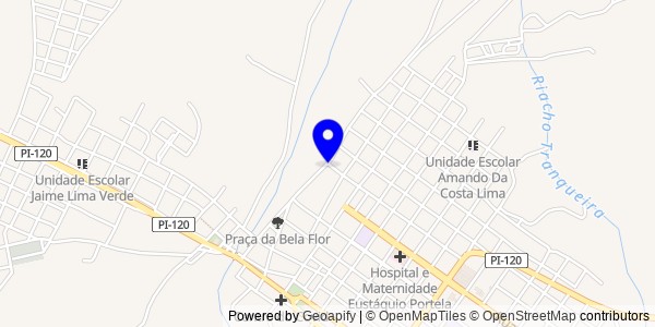 Mapa de Pimenteiras - Fisioterapeutas