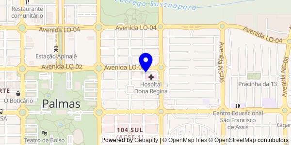 Mapa de Palmas - Fisioterapeutas