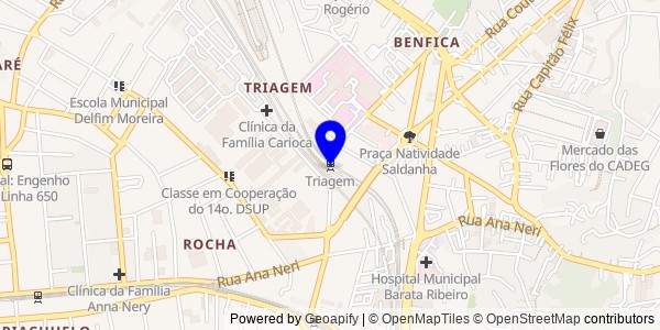 Mapa de Triagem - Nutricionistas