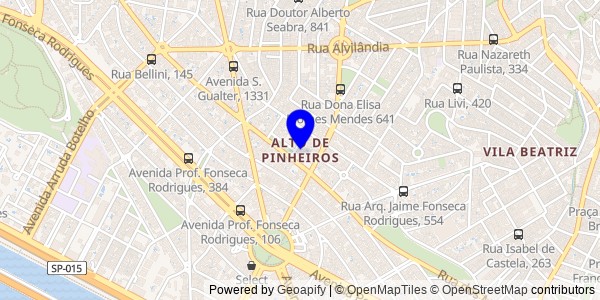 Mapa de Alto de Pinheiros - Fisioterapeutas